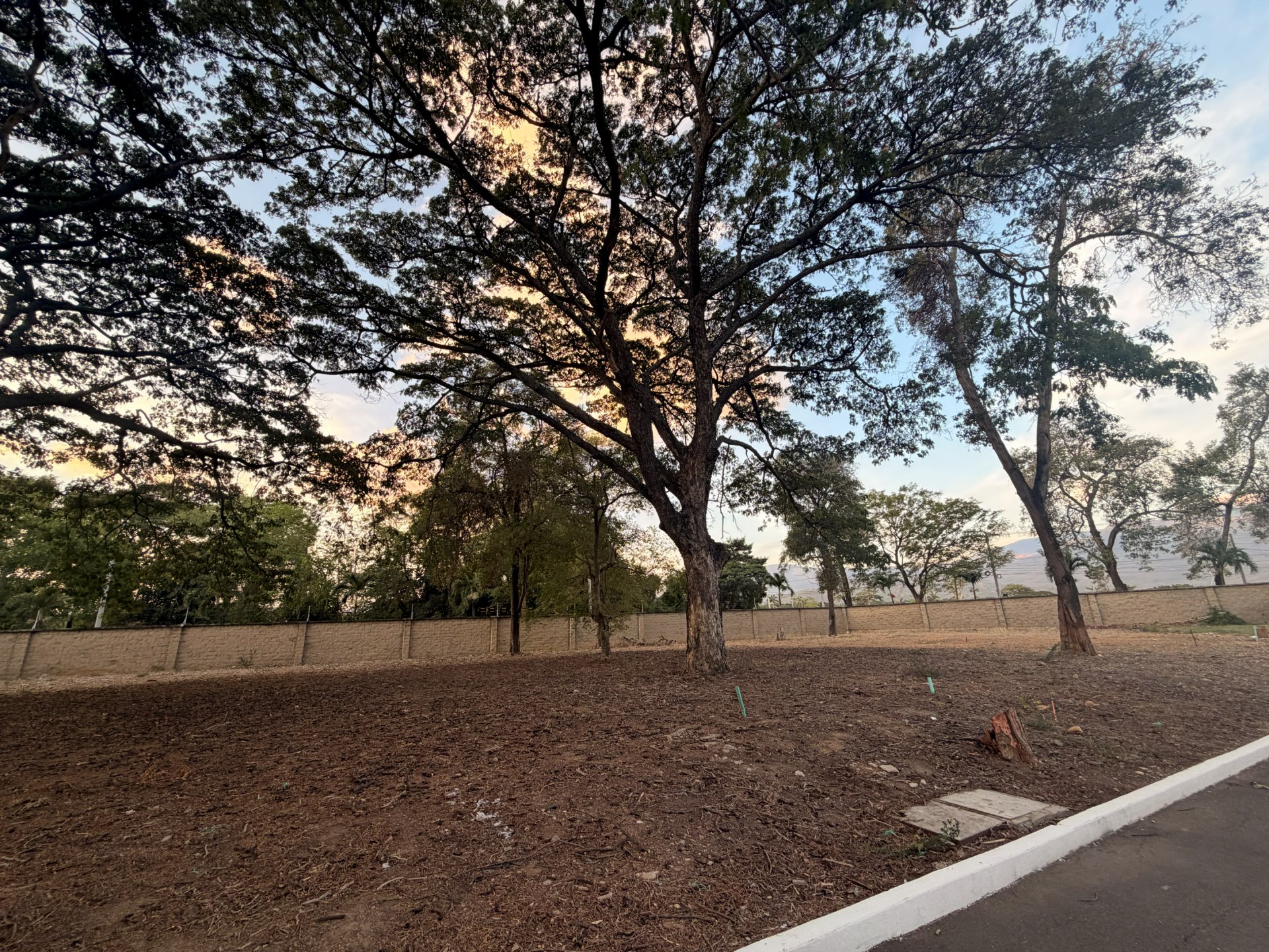 Lote 10 - Bocono — Bocono · Cúcuta