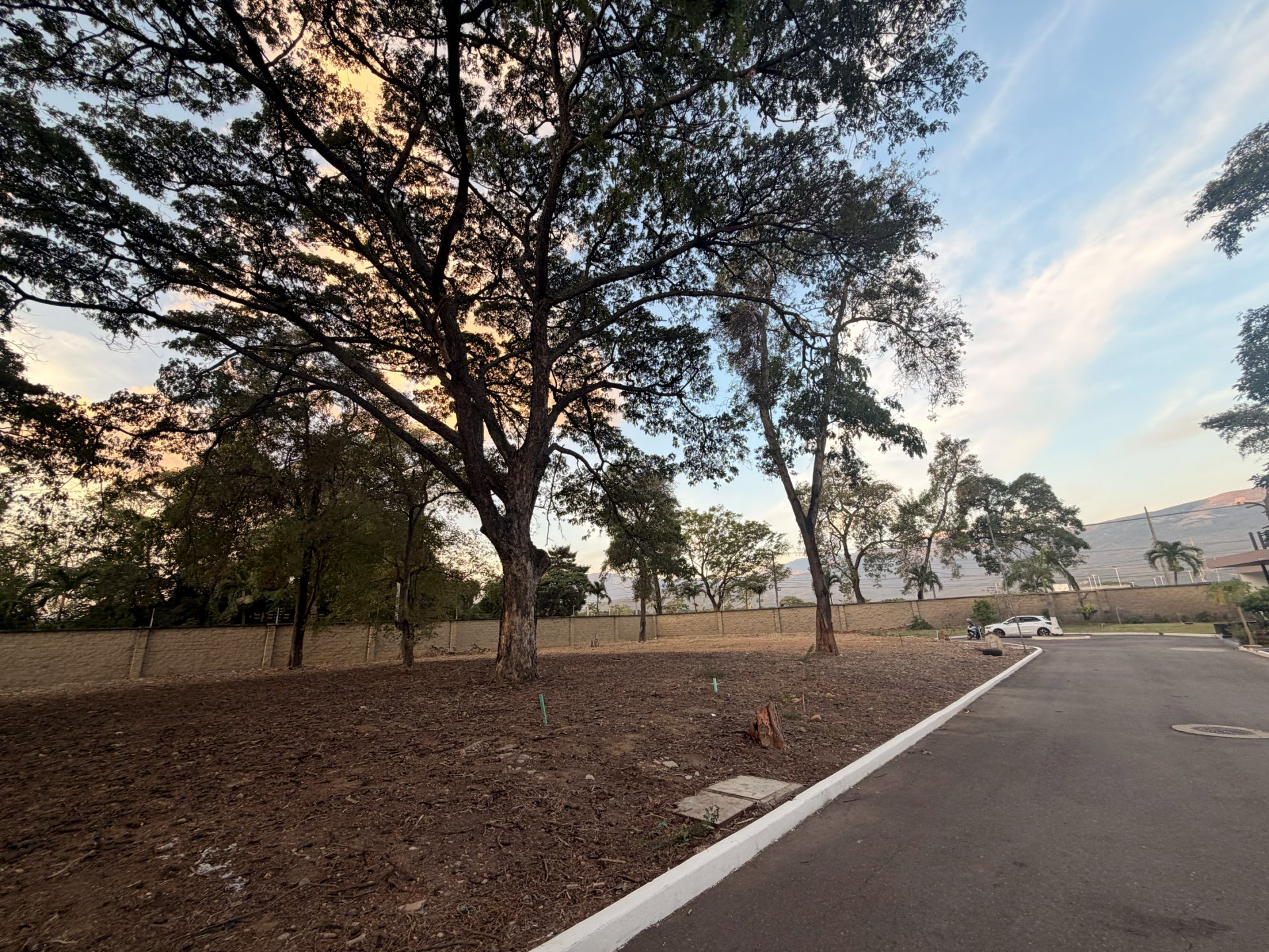 Lote 10 - Bocono — foto 2