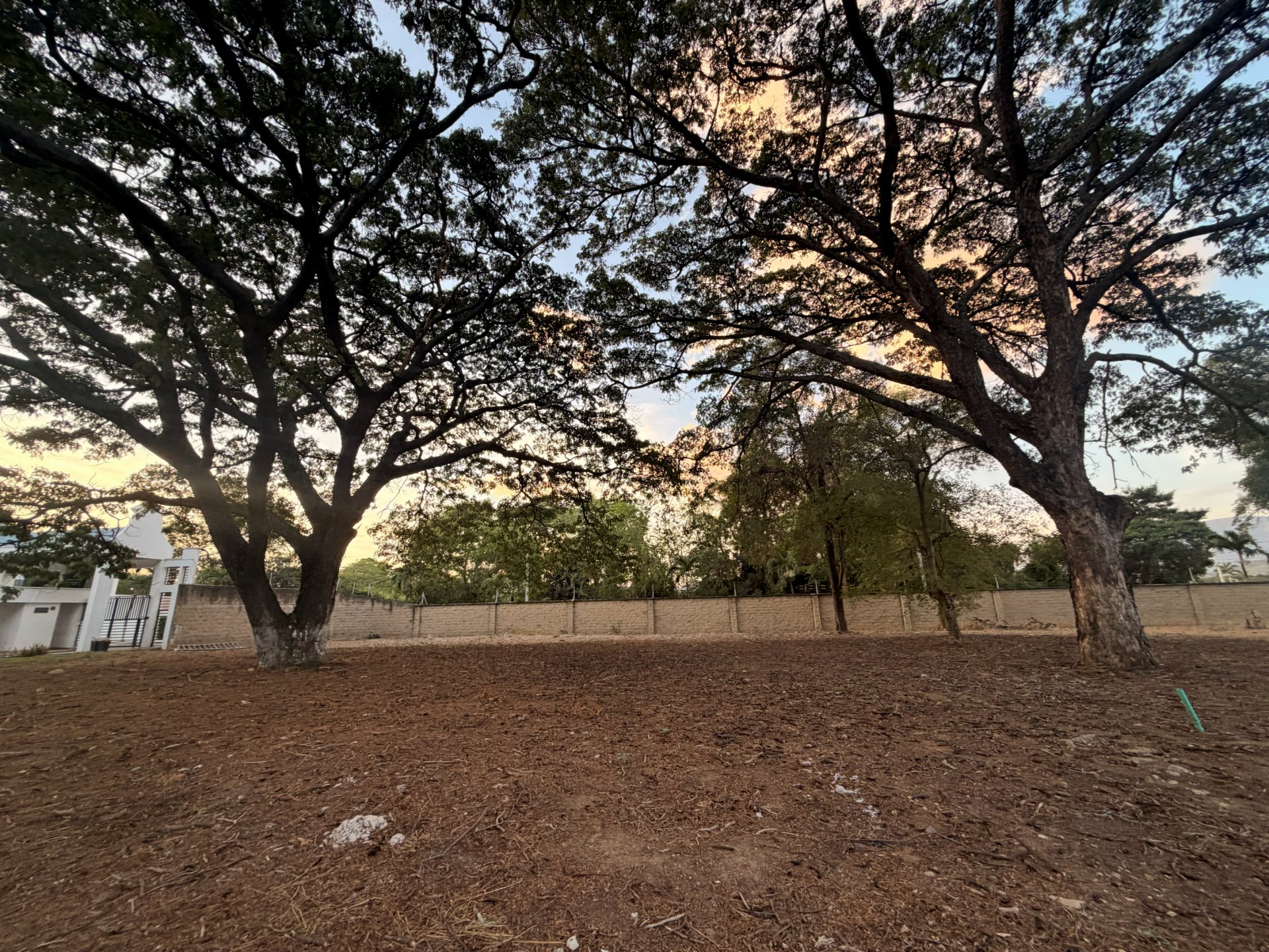Lote 10 - Bocono — foto 3