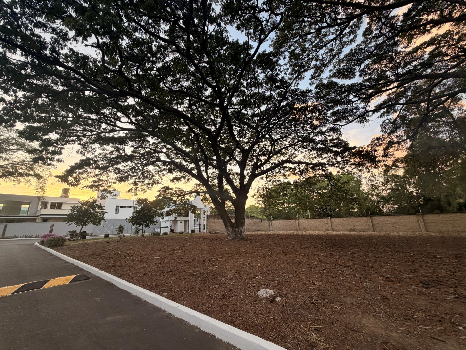 Lote 10 - Bocono — foto 4