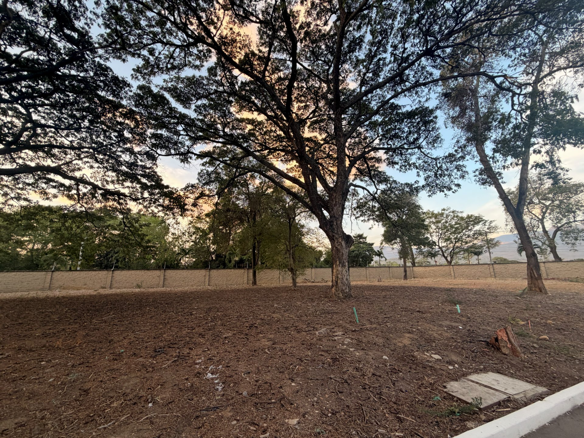 Lote 10 - Bocono — foto 5