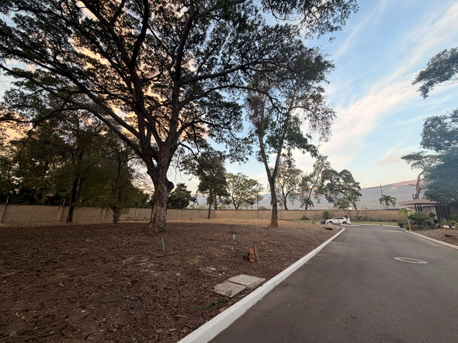 Lote 10 - Bocono — foto 6
