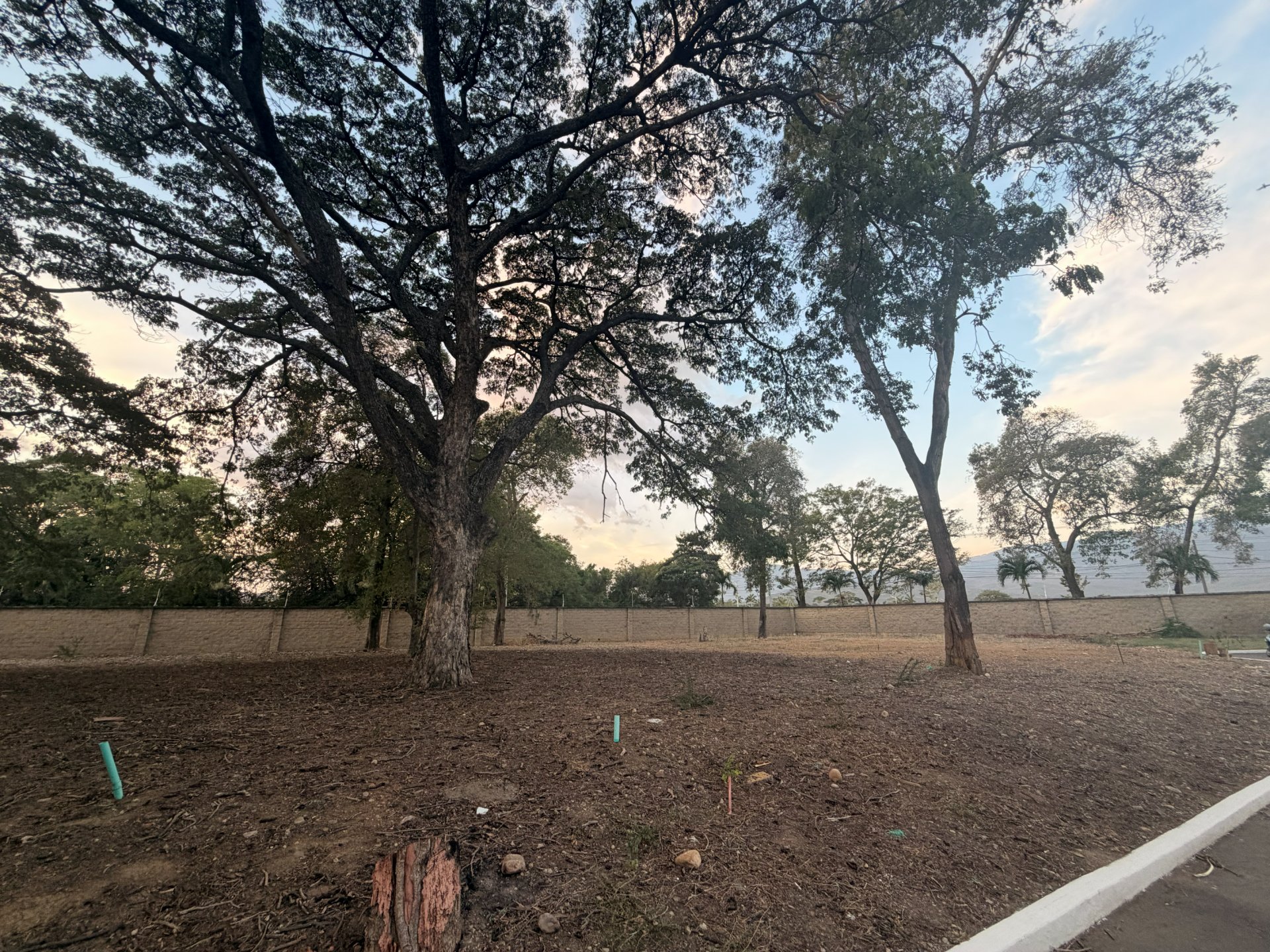 Lote 10 - Bocono — foto 20