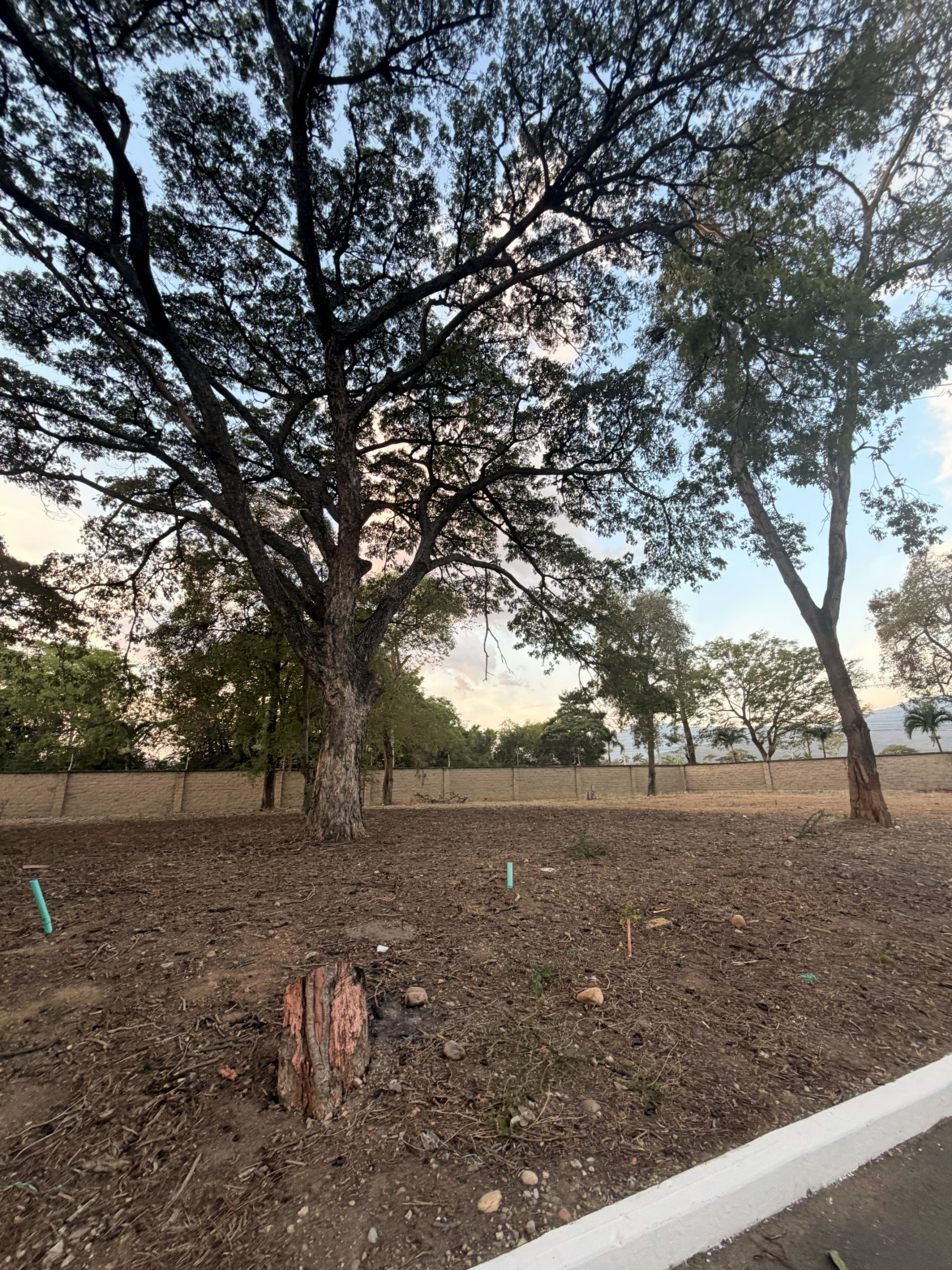 Lote 10 - Bocono — foto 21