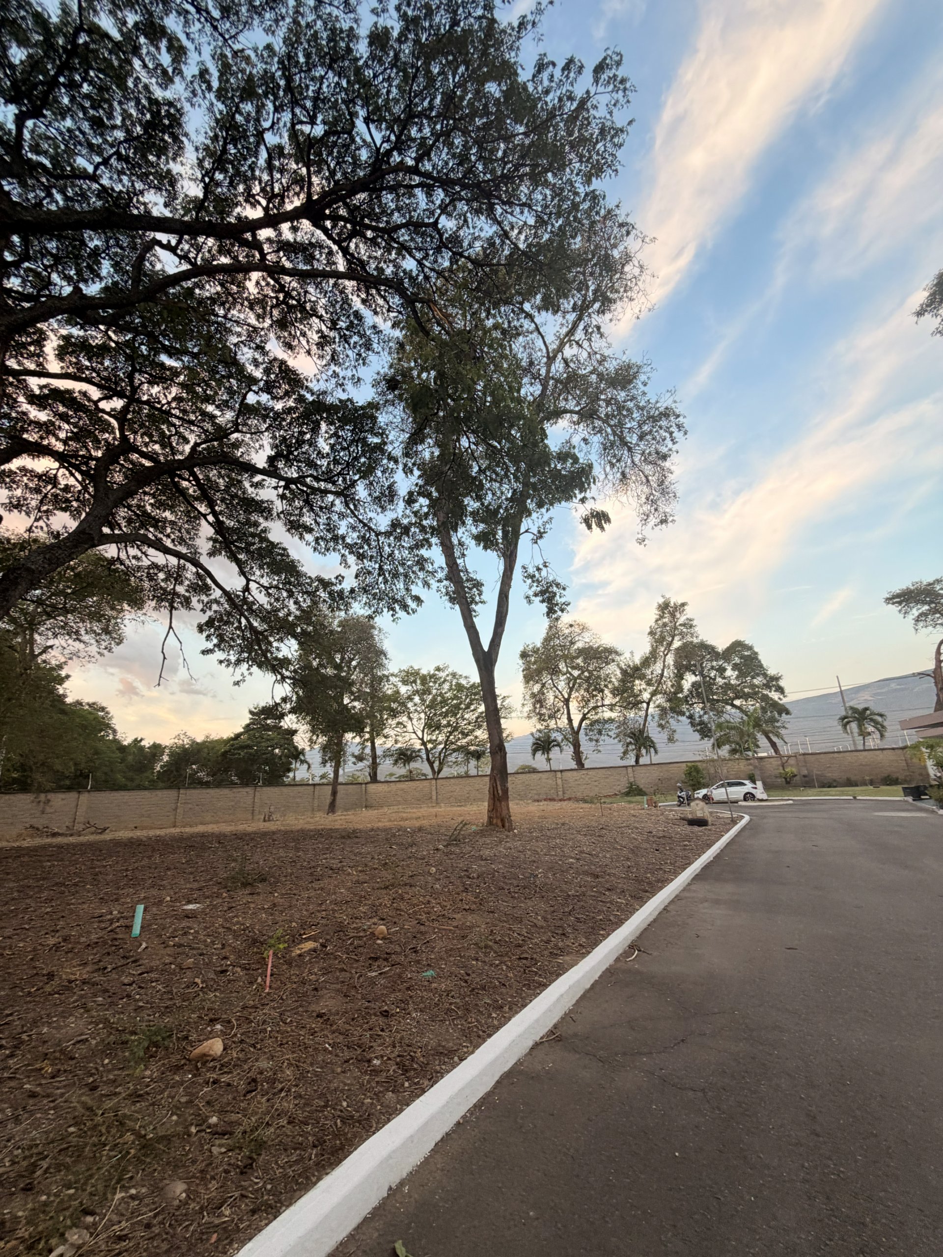 Lote 10 - Bocono — foto 22