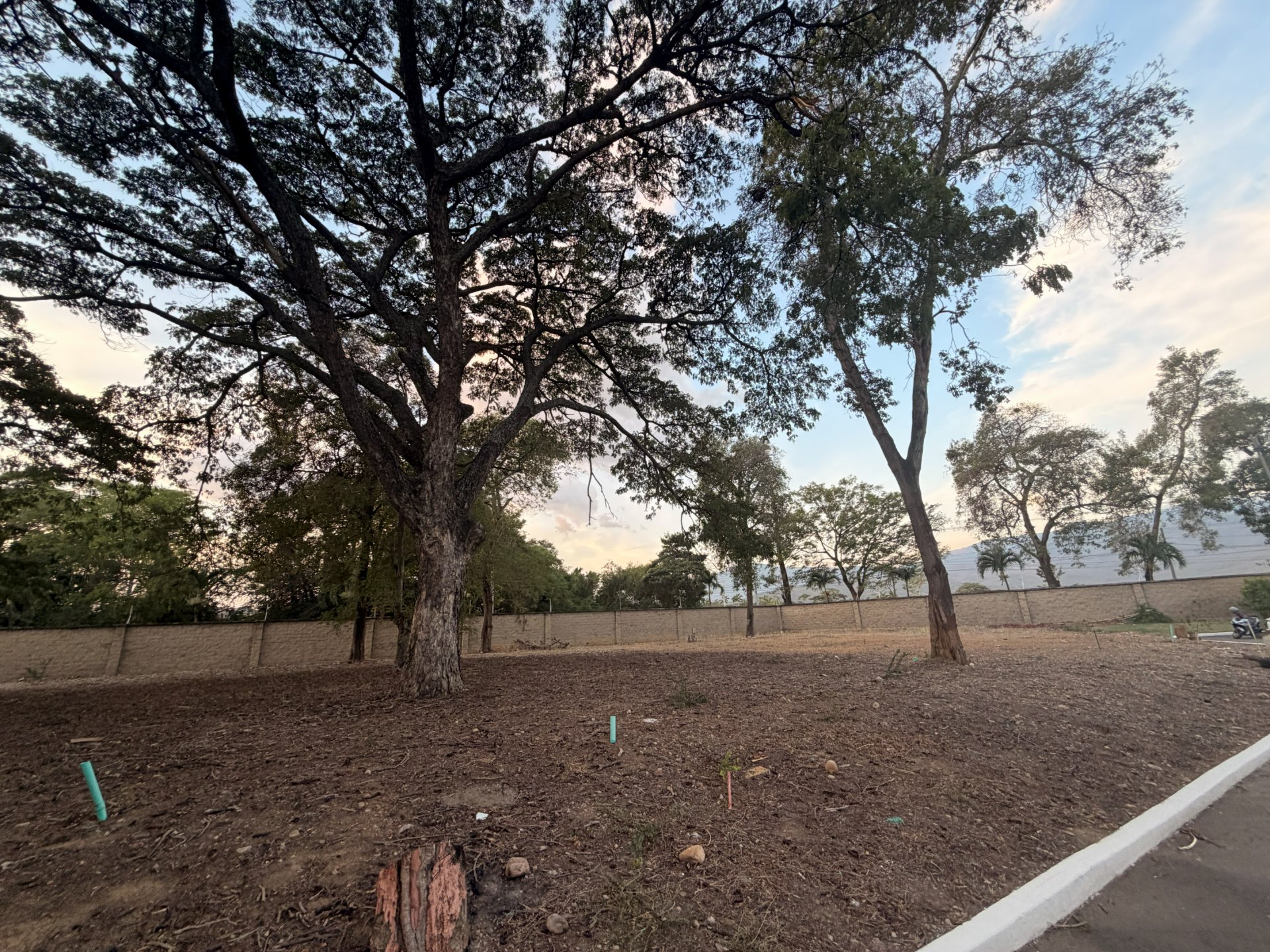 Lote 10 - Bocono — foto 23