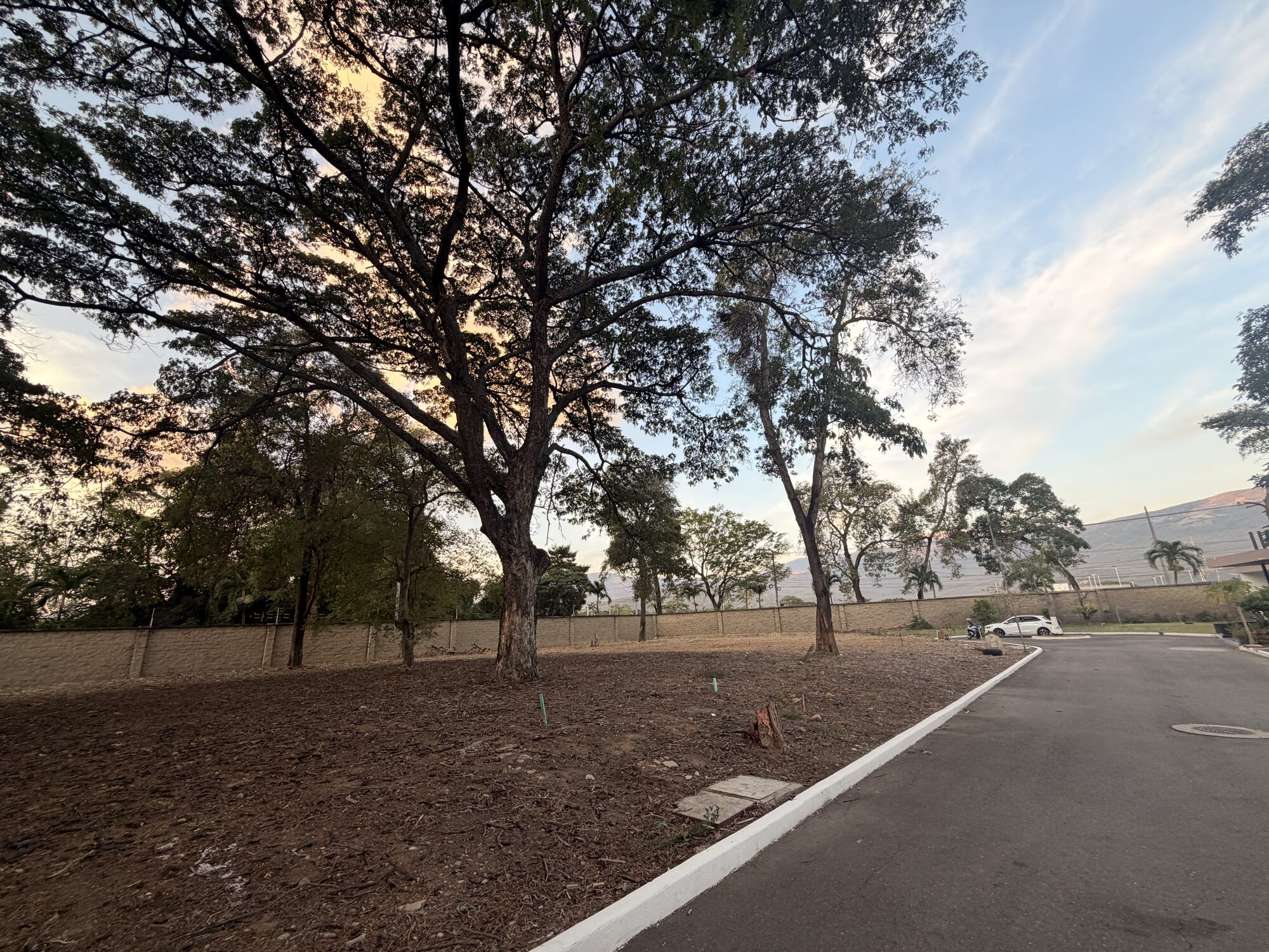 Lote 10 - Bocono — foto 26