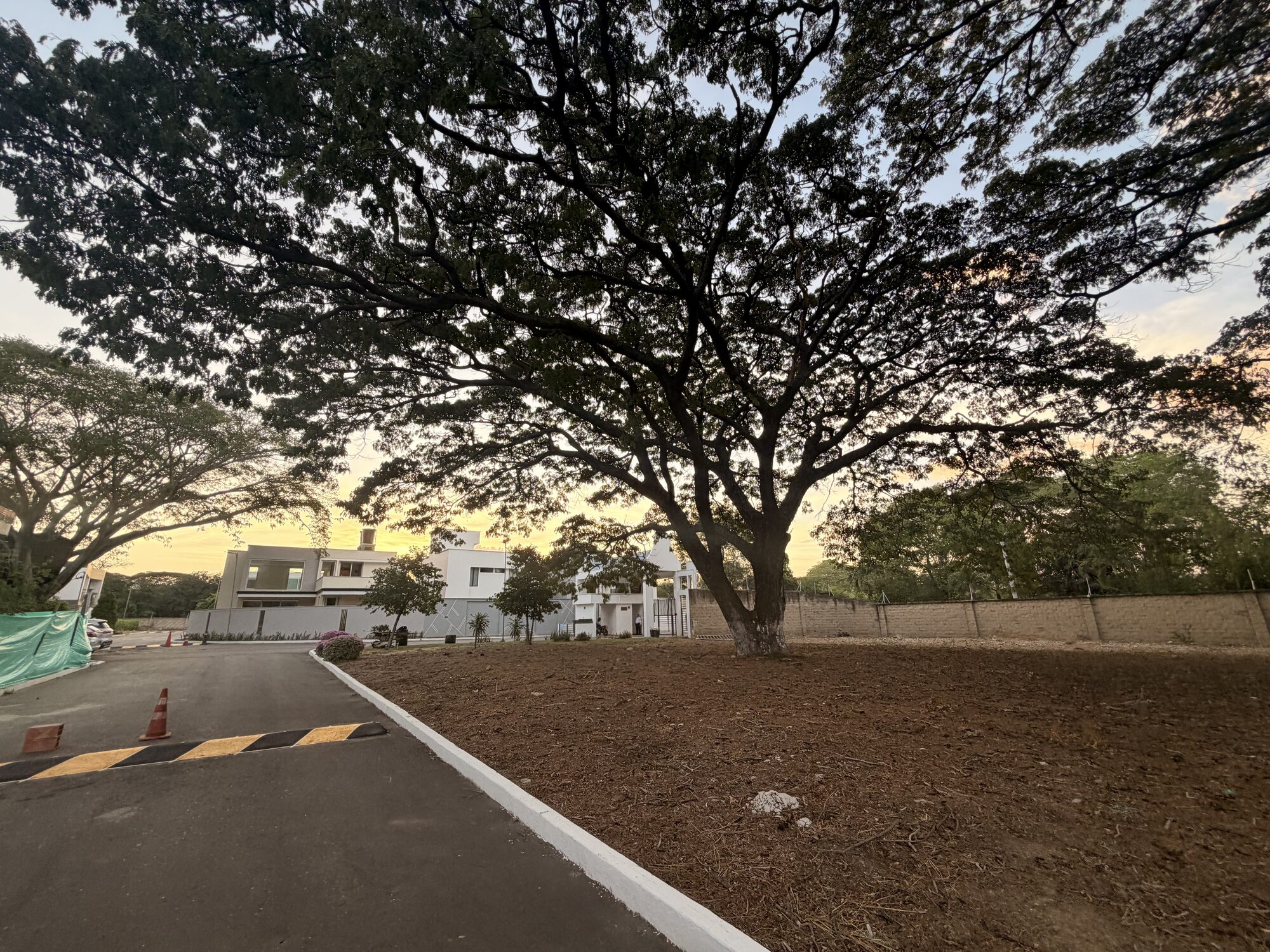 Lote 10 - Bocono — foto 31