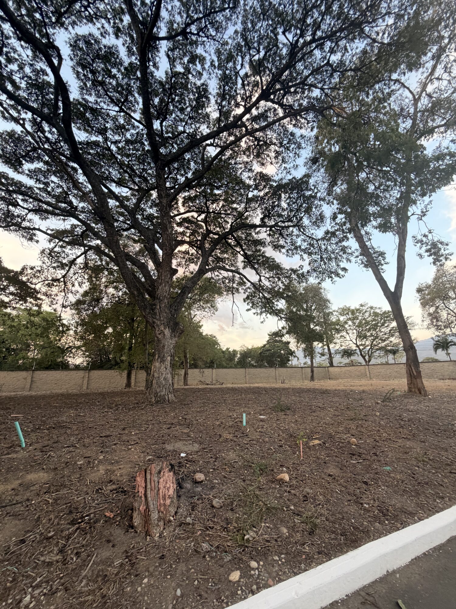 Lote 10 - Bocono — foto 45