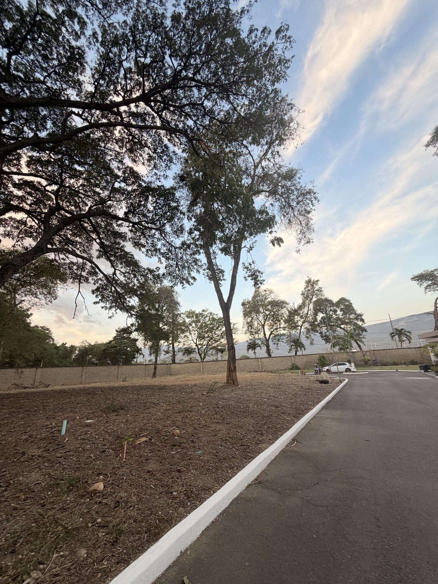 Lote 10 - Bocono — foto 46