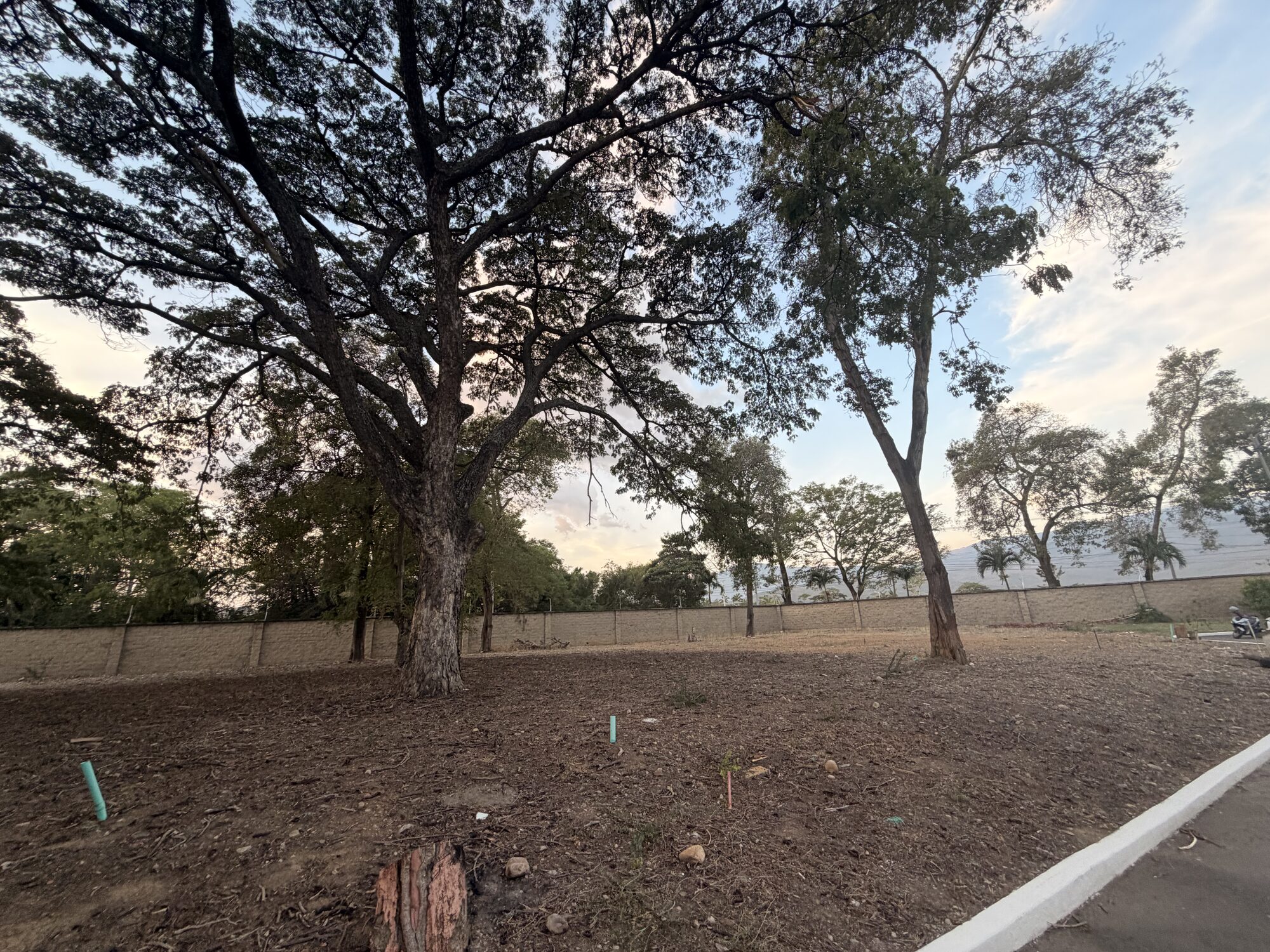 Lote 10 - Bocono — foto 47