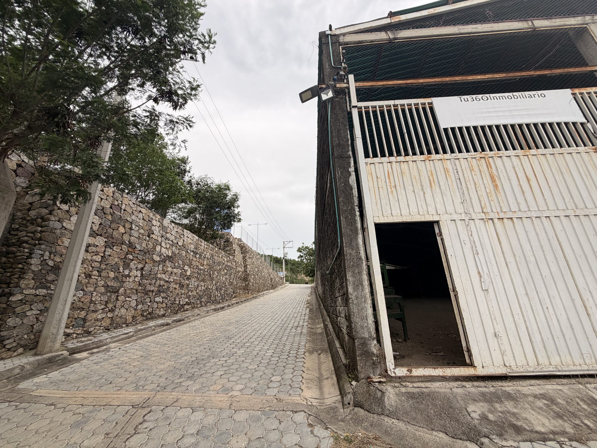 Bodega 1 - Patios — foto 16