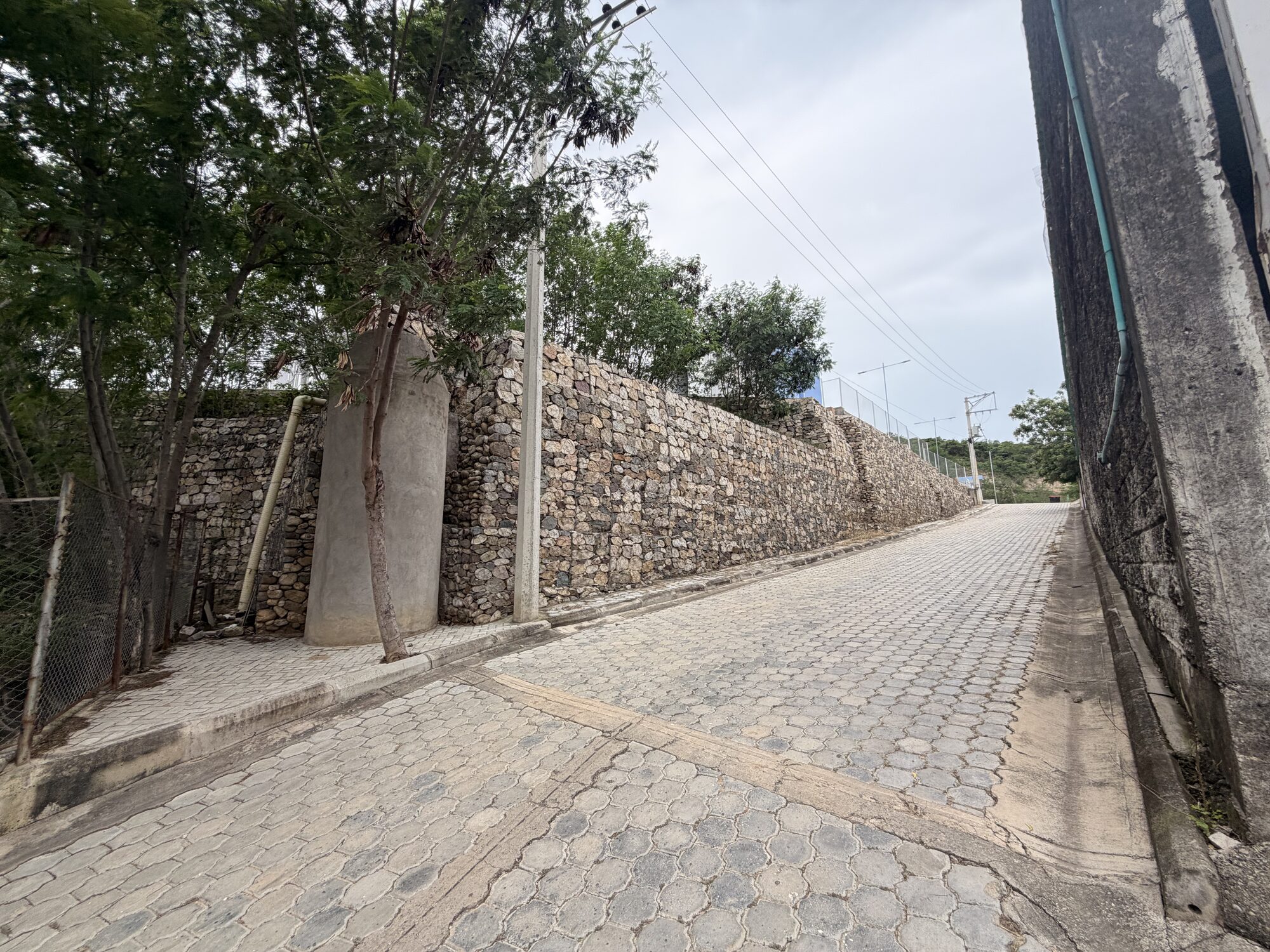 Bodega 1 - Patios — foto 17