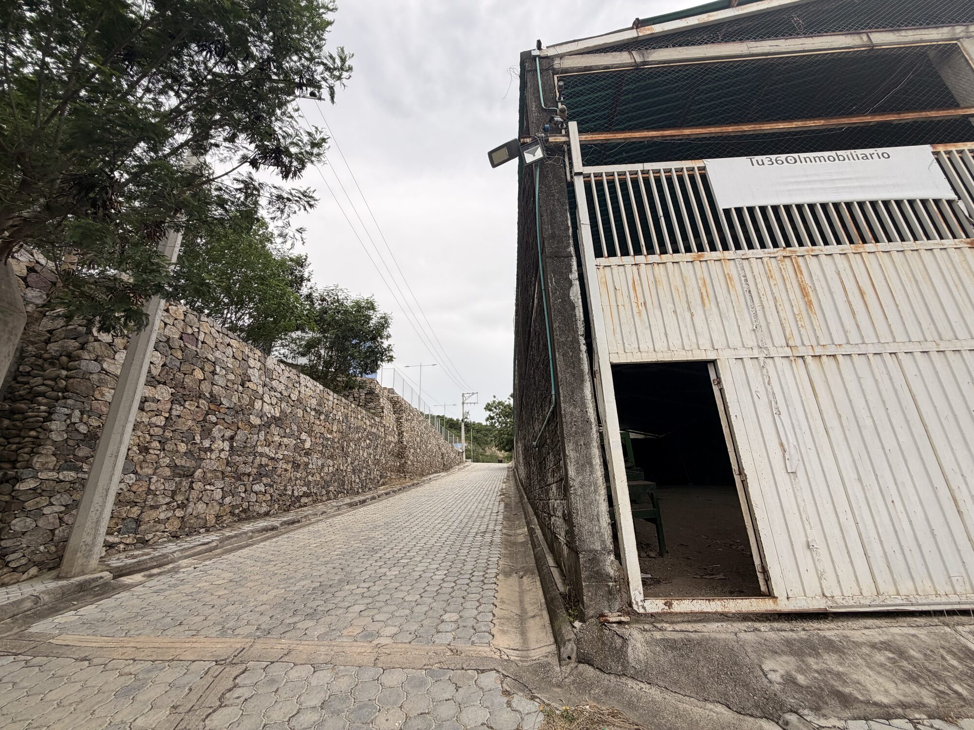 Bodega 1 - Patios — foto 4
