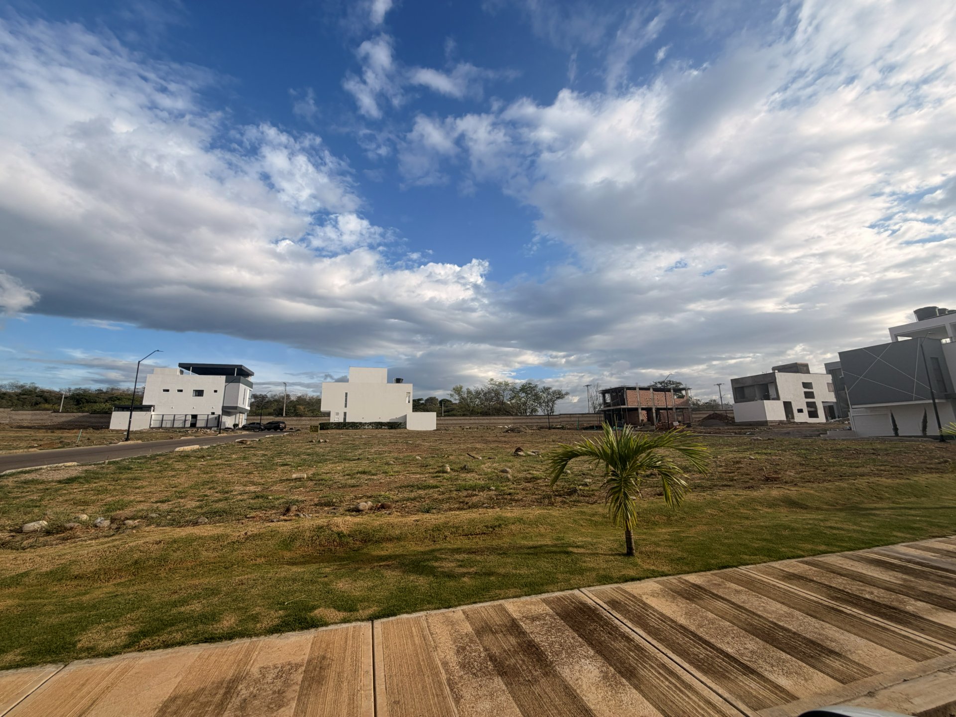 Lote 11 - Monarca — foto 6